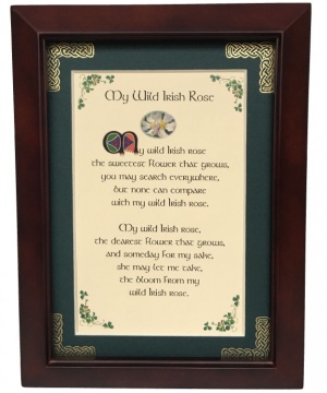 My Wild Irish Rose - 5x7